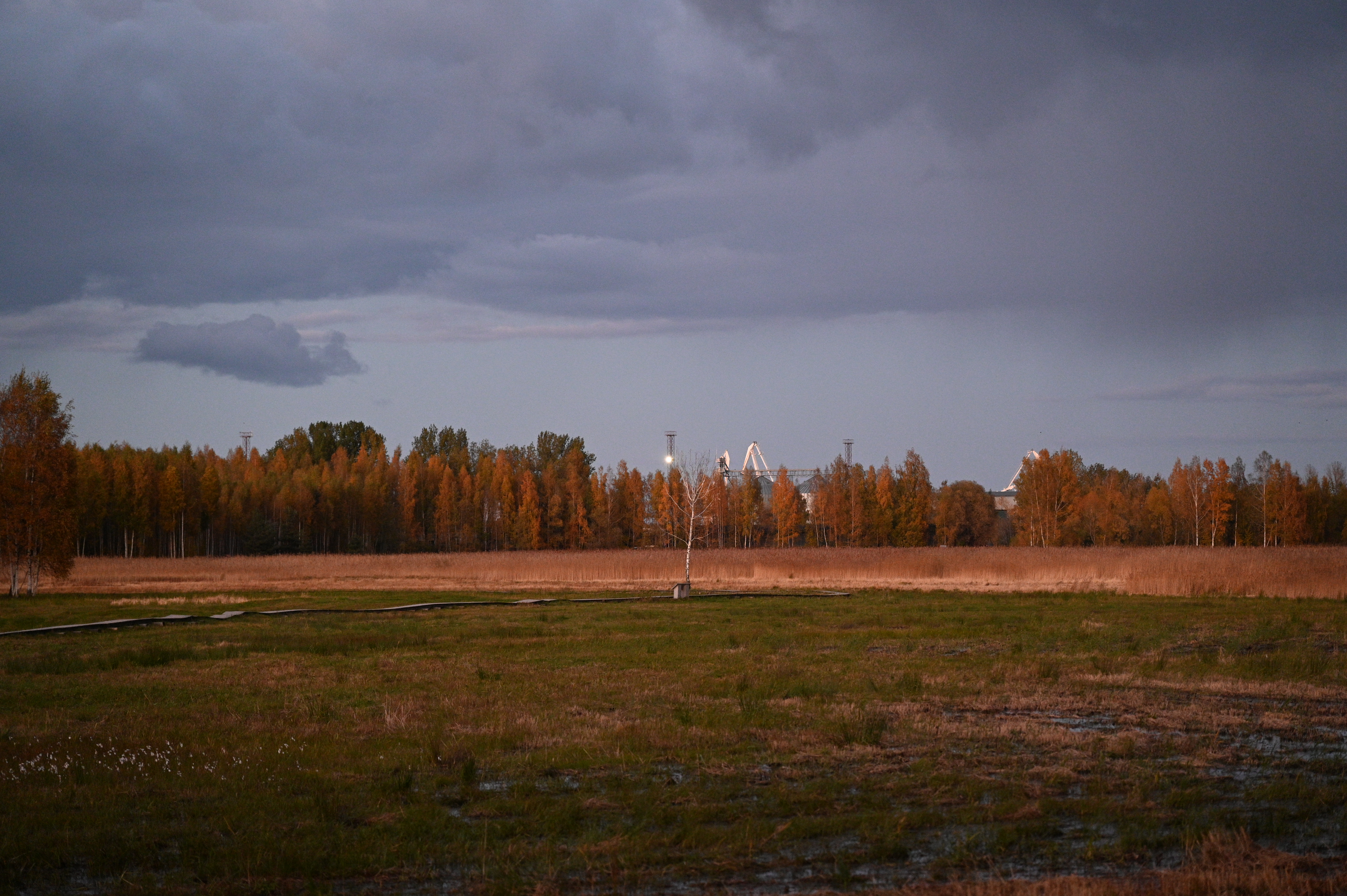 2025/10/18 - walk/DSC_0603.JPG